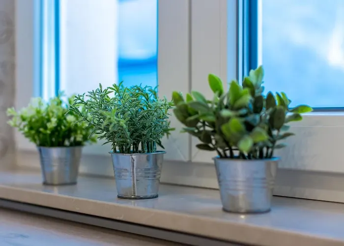 Central Suite Rijeka Apartamento